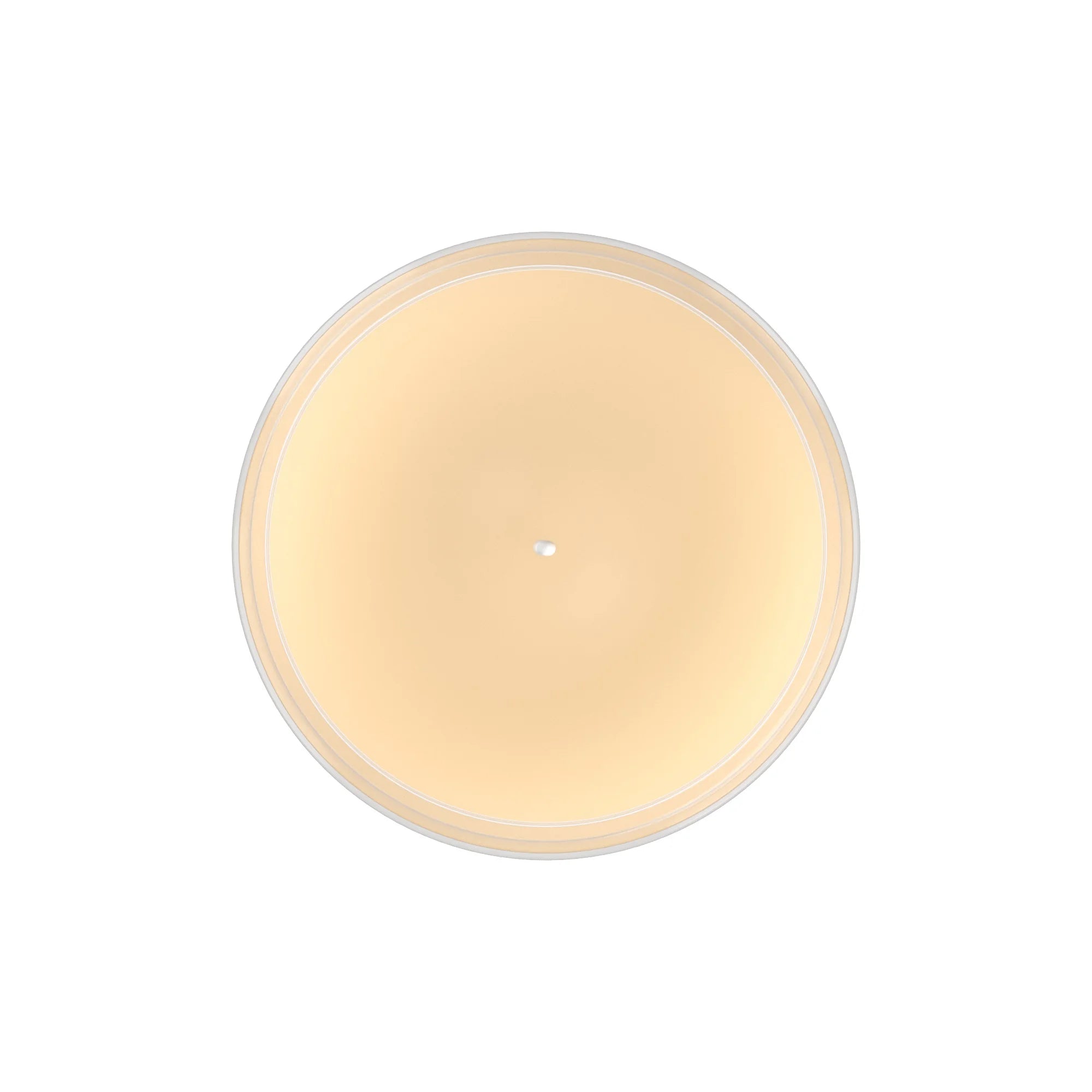 Single-Wick Scented Glass Jar Candle, Frosted Spice Cupcakes, 20Oz.